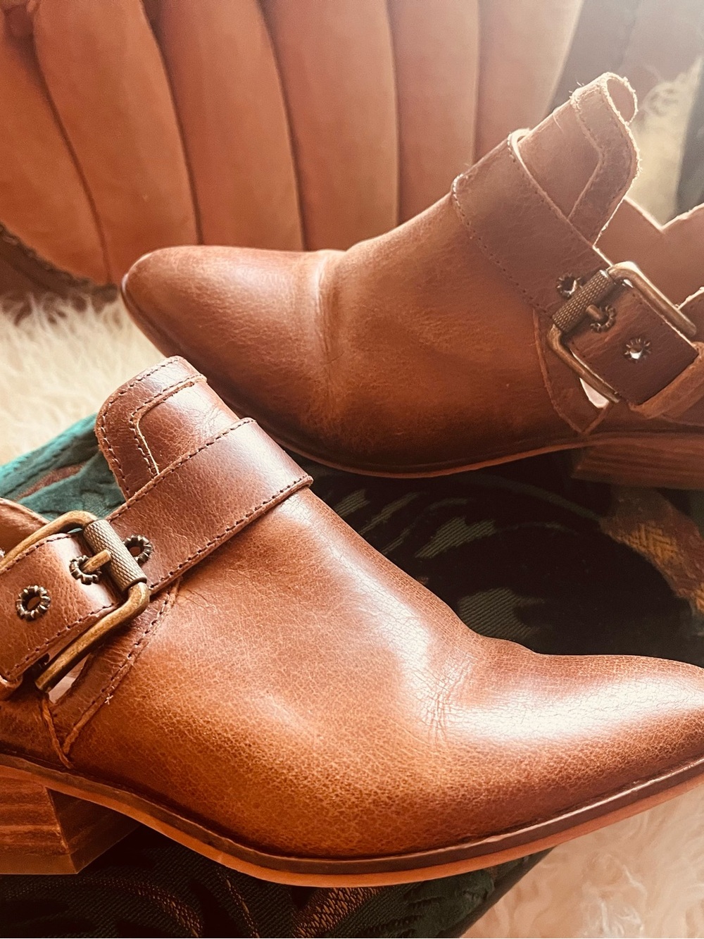 Brown Leather Frye & Co. Rubie Moto ankle booties featuring a side buckle size 7 - Picture 6 of 10
